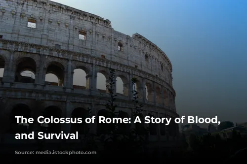 The Colossus of Rome: A Story of Blood, Spectacle, and Survival