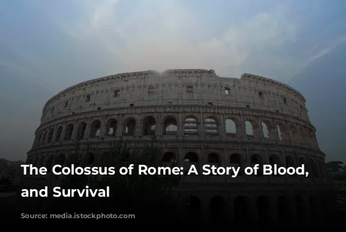 The Colossus of Rome: A Story of Blood, Spectacle, and Survival