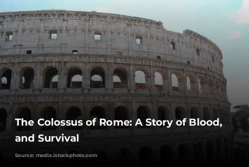 The Colossus of Rome: A Story of Blood, Spectacle, and Survival