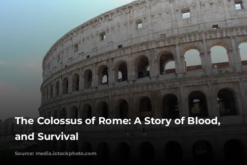 The Colossus of Rome: A Story of Blood, Spectacle, and Survival