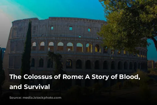 The Colossus of Rome: A Story of Blood, Spectacle, and Survival