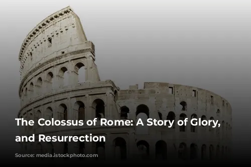 The Colossus of Rome: A Story of Glory, Destruction, and Resurrection