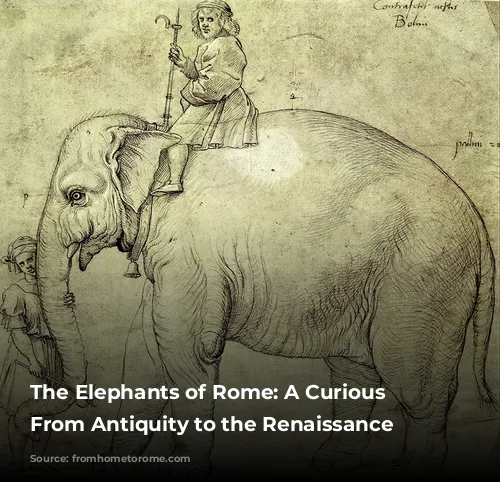 The Elephants of Rome: A Curious Tale From Antiquity to the Renaissance