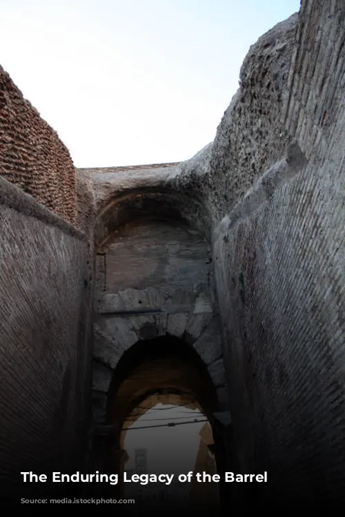 The Enduring Legacy of the Barrel Vault