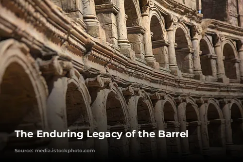 The Enduring Legacy of the Barrel Vault