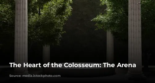 The Heart of the Colosseum: The Arena