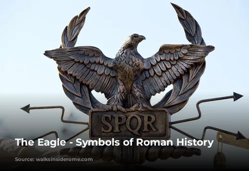 The Eagle - Symbols of Roman History