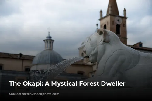 The Okapi: A Mystical Forest Dweller