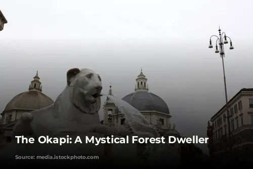 The Okapi: A Mystical Forest Dweller