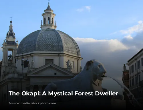 The Okapi: A Mystical Forest Dweller