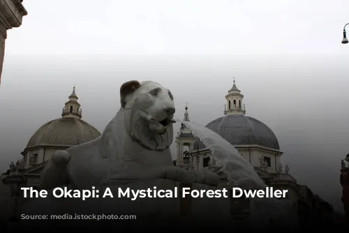 The Okapi: A Mystical Forest Dweller