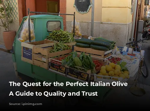 The Quest for the Perfect Italian Olive Oil: A Guide to Quality and Trust