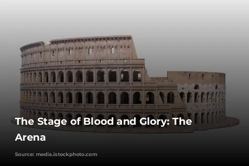 The Stage of Blood and Glory: The Colosseum's Arena