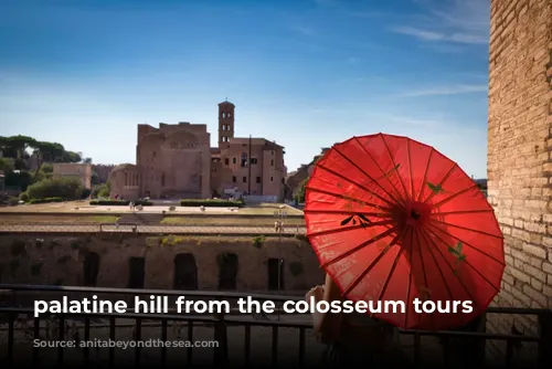 palatine hill from the colosseum tours