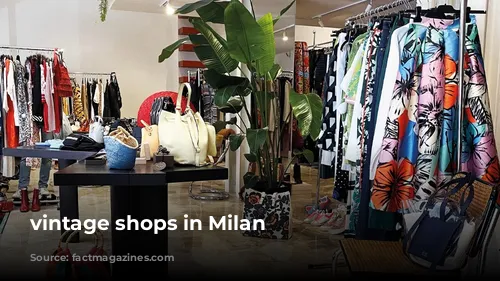 vintage shops in Milan