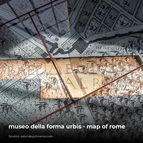 museo della forma urbis - map of rome