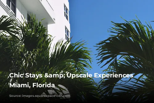  Chic Stays & Upscale Experiences in Miami, Florida