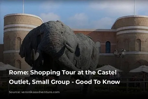 Rome: Shopping Tour at the Castel Romano Outlet, Small Group - Good To Know