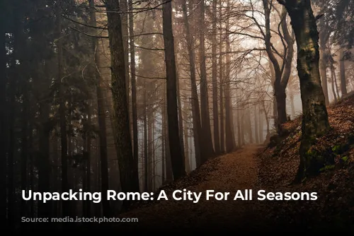 Unpacking Rome: A City For All Seasons