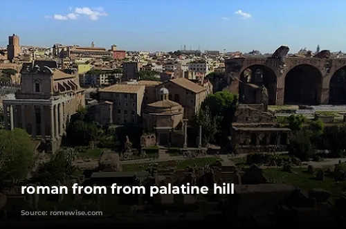 roman from from palatine hill