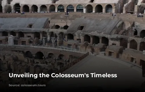 Unveiling the Colosseum's Timeless Majesty