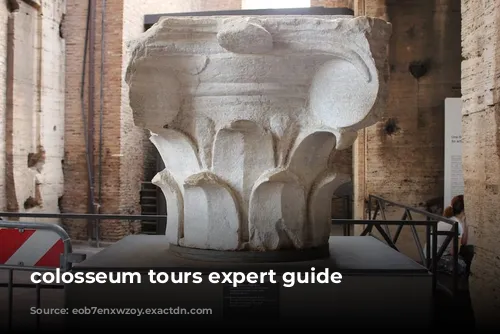 colosseum tours expert guide