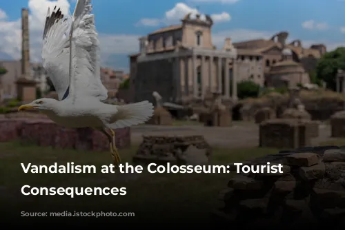 Vandalism at the Colosseum: Tourist Faces Consequences