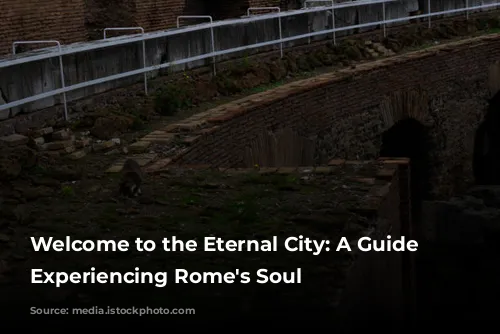 Welcome to the Eternal City: A Guide to Experiencing Rome's Soul