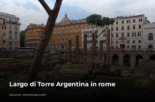 Largo di Torre Argentina in rome