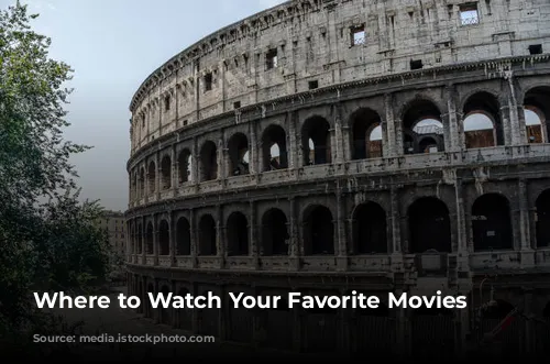 Where to Watch Your Favorite Movies