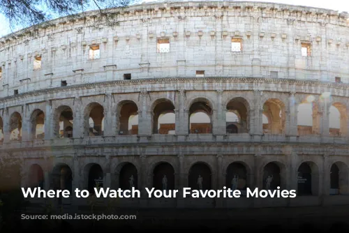 Where to Watch Your Favorite Movies