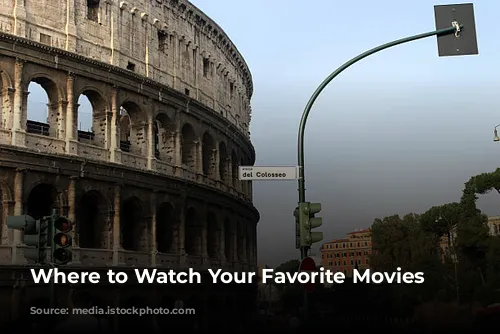 Where to Watch Your Favorite Movies