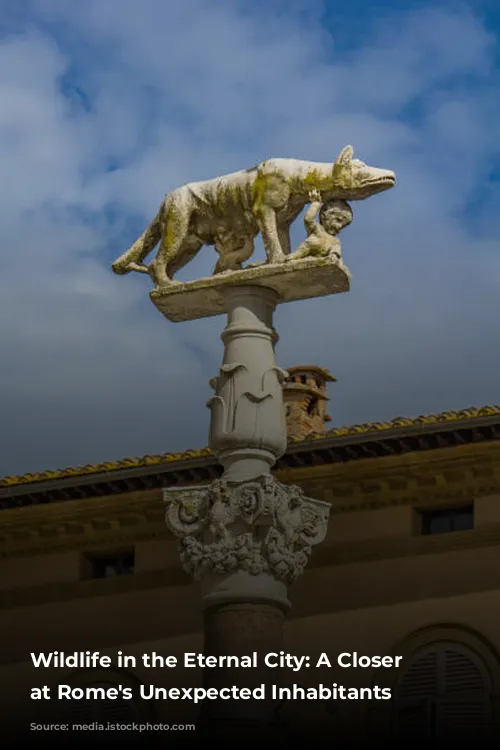 Wildlife in the Eternal City: A Closer Look at Rome's Unexpected Inhabitants