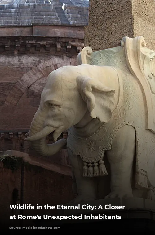 Wildlife in the Eternal City: A Closer Look at Rome's Unexpected Inhabitants