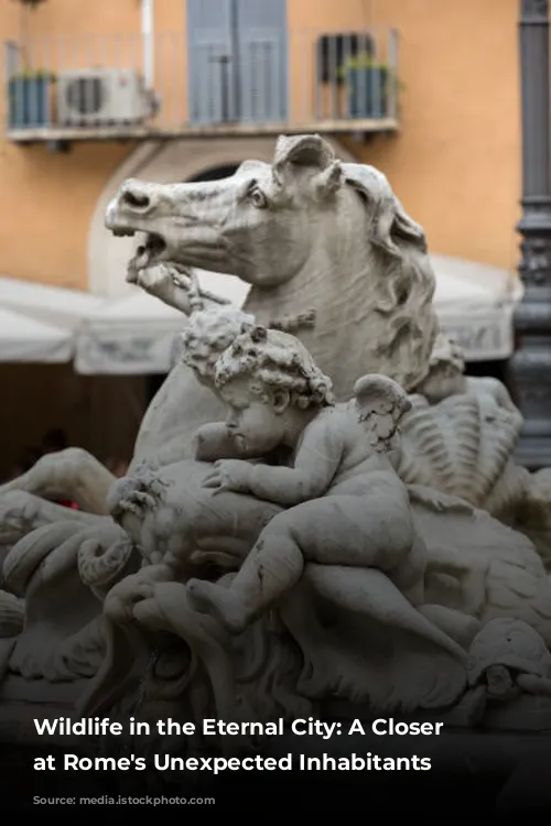 Wildlife in the Eternal City: A Closer Look at Rome's Unexpected Inhabitants