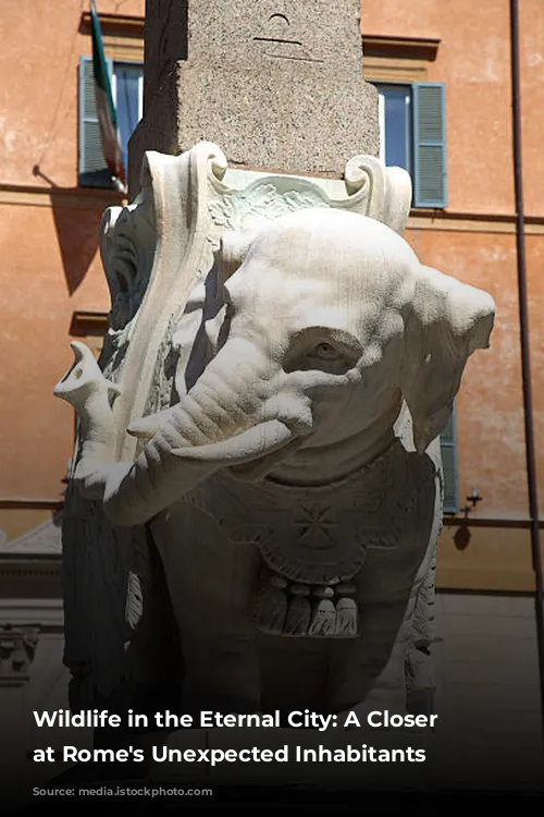 Wildlife in the Eternal City: A Closer Look at Rome's Unexpected Inhabitants