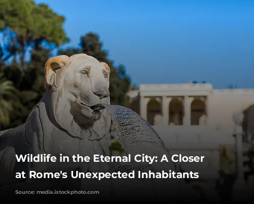 Wildlife in the Eternal City: A Closer Look at Rome's Unexpected Inhabitants