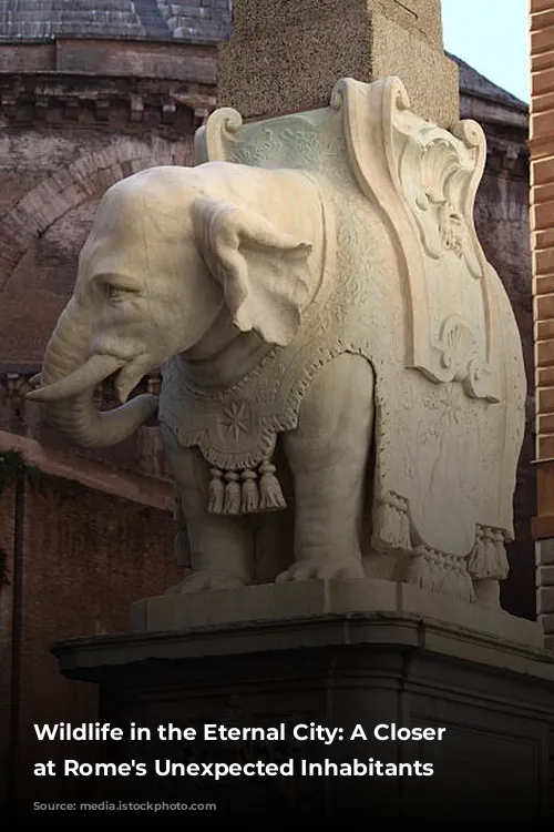 Wildlife in the Eternal City: A Closer Look at Rome's Unexpected Inhabitants