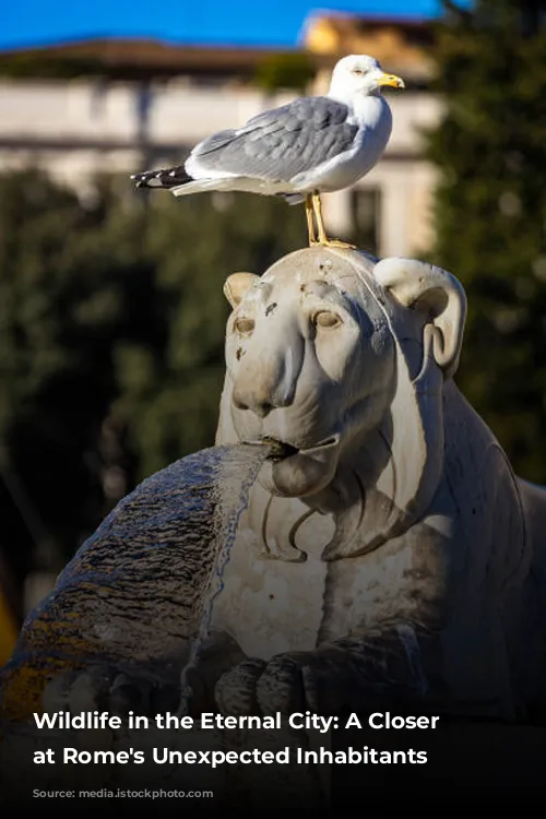 Wildlife in the Eternal City: A Closer Look at Rome's Unexpected Inhabitants