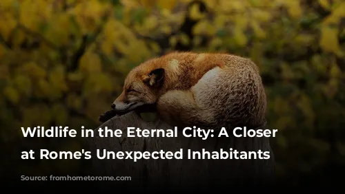 Wildlife in the Eternal City: A Closer Look at Rome's Unexpected Inhabitants