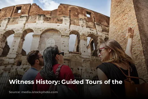 Witness History: Guided Tours of the Colosseum