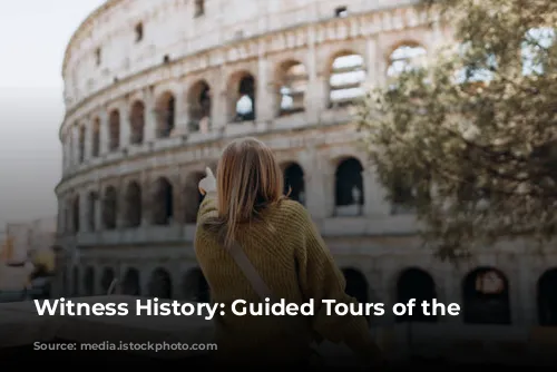 Witness History: Guided Tours of the Colosseum