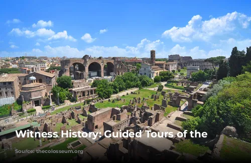 Witness History: Guided Tours of the Colosseum