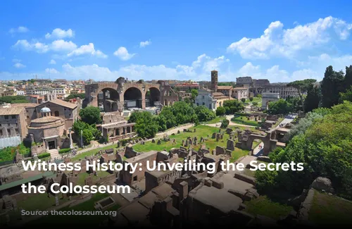 Witness History: Unveiling the Secrets of the Colosseum