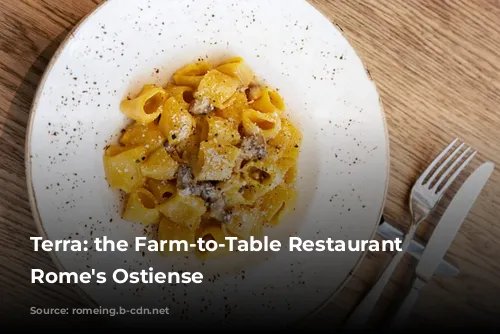 Terra: the Farm-to-Table Restaurant in Rome's Ostiense